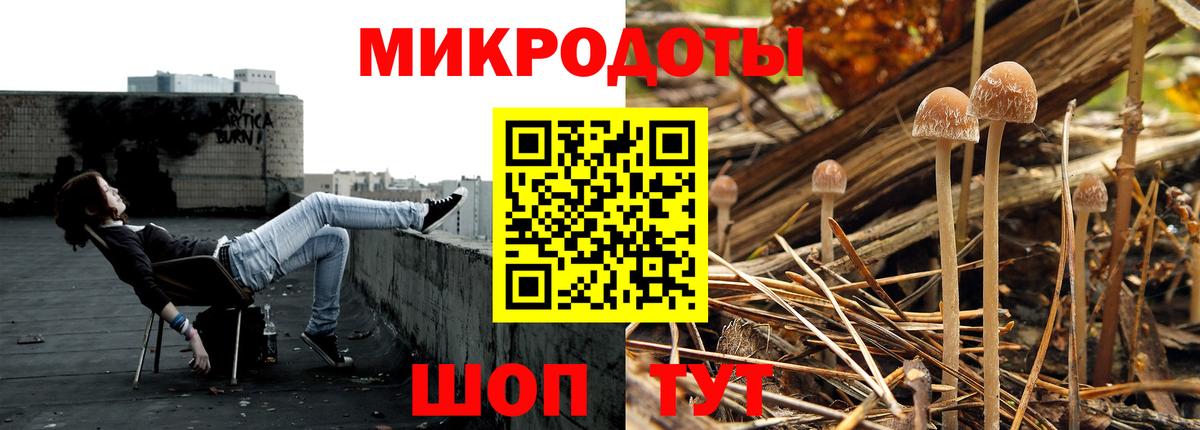 Галлюциногенные грибы мицелий Минеральные Воды