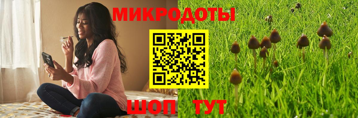 Псилоцибиновые грибы Psilocybine cubensis  Вход с VPN  Минеральные Воды  Псилоцибиновые грибы GOLDEN TEACHER 